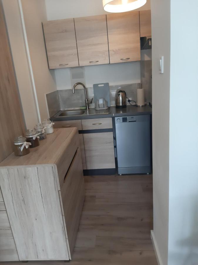 Appartement Apartament Komfortowy - W Pelni Wyposazony - Spaceapart à Jelenia Góra Extérieur photo