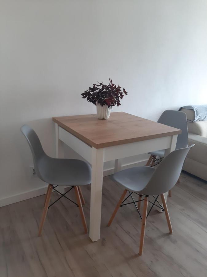 Appartement Apartament Komfortowy - W Pelni Wyposazony - Spaceapart à Jelenia Góra Extérieur photo